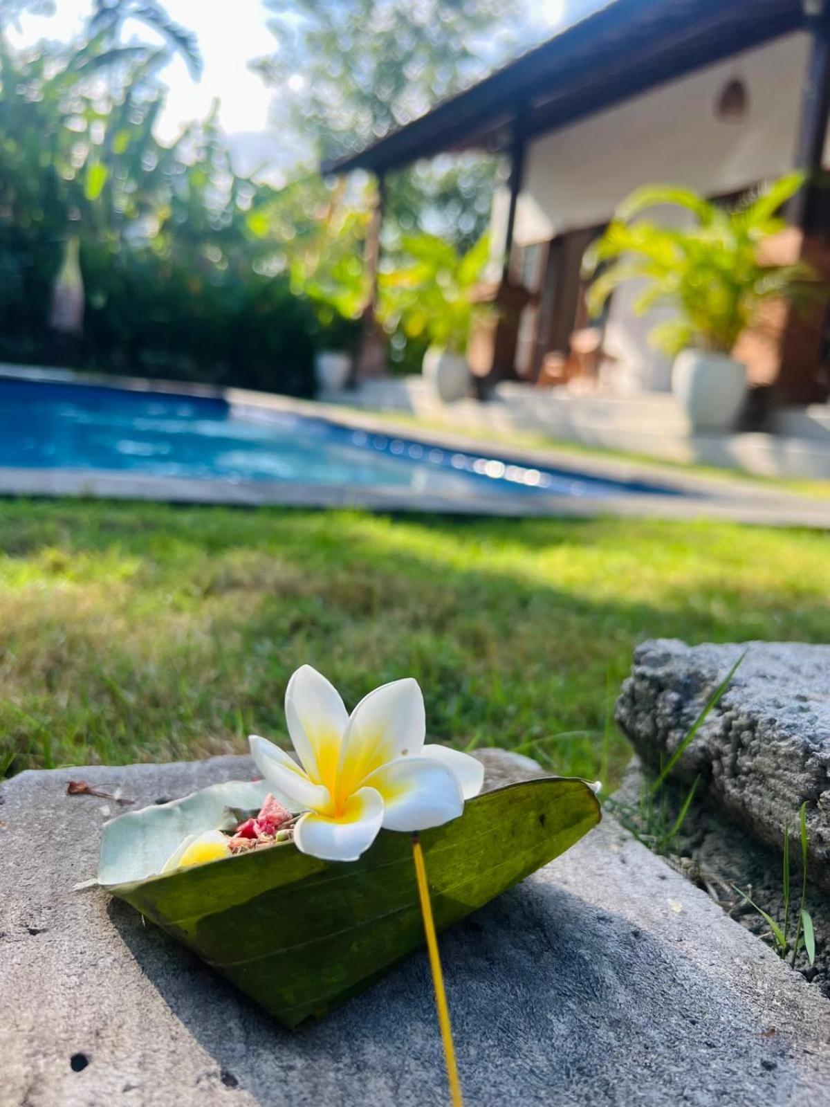 Wiryaroja Guest House Canggu Eksteriør bilde